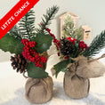 Bild in Galerie-Betrachter laden, Wichtel Deko-Bäumchen – 2er-Set mit Zapfen & Beeren
